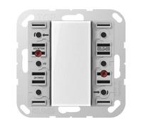 Module à bouton-poussoir A5236TSM 24V AC/DC (A5236TSM)