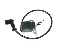 Module de bobine d’allumage pour souffleur dorsal Stihl BR320 BR320L BR340 BR340L BR380 BR400 BR420 BR420C Souffleur de brouillard SR320 SR340 SR400