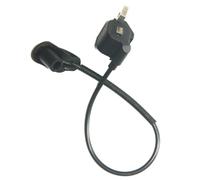 Module de Bobine d'allumage pour Homelite RY08420A, pour RY08420, Moteur Ventilateur Sac à Dos, pièces magnétiques #291424001 pièces de Jardin