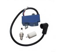 Module de bobine d'allumage pour tronçonneuse Hua 545 545xp 550xp 550xpg remplace 581723602 581723604 haute tension Spark accessoire longue durée facile à installer