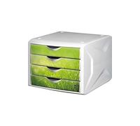 Module de classement 'the chameleon', décor springtime