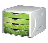 Module de classement 'the chameleon',décor wild flower