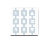 module de commande NICE WAY WM006G