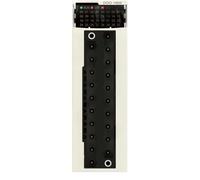 Module de sortie numérique Schneider Electric BMXDDO1602