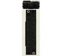 Module d'entrée Schneider Electric BMXDDI1602
