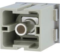 Module HARTING Han 200 ampères (PE) Insert mâle (M) Connexion à vis axiale, 1 pôle 1000 V, 200 A - 1 pièce