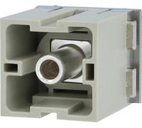 Module HARTING Han 200 ampères (PE) Insert mâle (M) Connexion à vis axiale, 1 pôle 1000 V, 200 A - 1 pièce