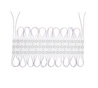 Module LED 20 Pièces 22W IP65 24V DC pour Enseignes Publicitaires 2.5m 6000K Blanc froid