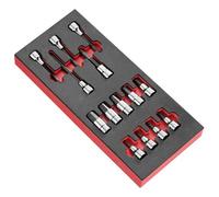 Module mousse 14 douilles tournevis 6 pans Facom MODM.SHPB