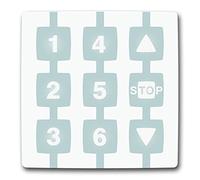 Module Nice pour la commande de 6 groupes d'automatismes Apre-Stop-Fermé en mode unique ou multigroupe code : WM006G