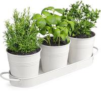 MoFarbe Pots à herbes aromatiques pour cuisine et rebord de fenêtre | Jardinière pour herbes aromatiques d'intérieur | Comprend un trou de drainage | Pots de fleurs pour basilic, menthe, persil et