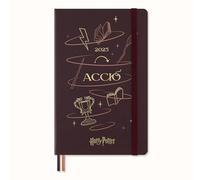 Moleskine Daily Planner Monde des Sorciers de Harry Potter Collection Sortilèges Accio, Agenda Journalier 12 Mois Couverture Rigide Phosphorescente, Grand Format 13 x 21 cm