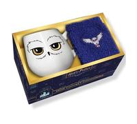 Mon Coffret Cocooning Harry Potter - Avec 1 Mug Et 1 Paire De Chaussettes