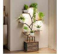 Mondeer Support de Plantes d'Intérieur avec Lumières de Croissance, Étagère d'Angle 9 Niveaux 160 cm avec 2 Tiroirs de Rangement, Luminosité Réglable & Minuterie, Présentoir Moderne pour Plantes - Sal