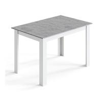 Mondeer Table à Manger Rectangle pour 4 personnes, Moderne, Pour Salle à Manger/Salon 120L x 80l x 75H cm, Gris