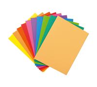 MONDOFFICE Chemises dossiers 220g - 24 x 32 cm - Assortis vifs - Lot de 100
