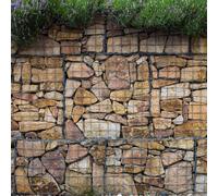 Monstershop Lot de 6 paniers gabions 100x80x30