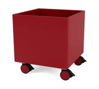 Montana Colour Box I - S6161 Beetroot