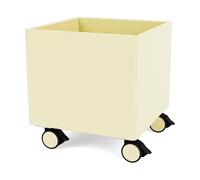 Montana Colour Box I - S6161 Camomile