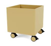 Montana Colour Box I - S6161 Cumin