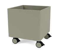 Montana Colour Box I - S6161 Fennel