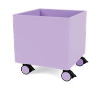 Montana Colour Box I - S6161 Iris