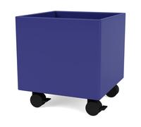 Montana Colour Box I - S6161 Monarch