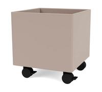 Montana Colour Box I - S6161 Mushroom