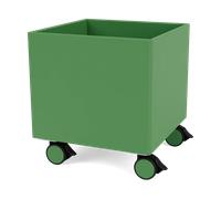 Montana Colour Box I - S6161 Parsley