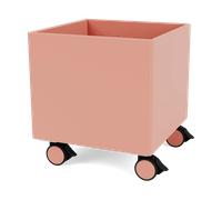 Montana Colour Box I - S6161 Rhubarb