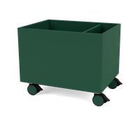 Montana Colour Box II Pine