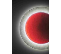 Moodmoon Applique murale ronde Ingo Maurer 85 cm - 1095085