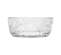 Moomin Arabia Bol Moomin 35 cl Transparent