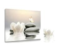 mophrati Tableaux sur toile encadrés pour salle de bain : art zen | votre espace en un lieu de et de sérénité, cadeau idéal pour Noël une pendaison de crémaillère.