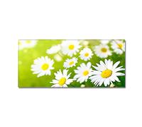 Morbuy Paillasson Bienvenue Tapis d'Entrée 3D Paysage Tapis de Bain Antidérapant Tapis de Sol,Tapis Antidérapant pour Salon,Chambre à Coucher,Couloir,Cuisine (Marguerites Blanches,40x120cm)