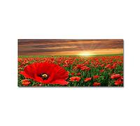 Morbuy Paillasson Bienvenue Tapis d'Entrée Impression de Paysage 3D Tapis de Bain Antidérapant Tapis de Sol, Tapis Antidérapant pour Salon,Chambre à Coucher,Cuisine (Coquelicots Rouges,40x120cm)