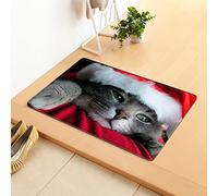 Morbuy Paillasson Bienvenue Tapis d'Entrée Imprimé de Noël Tapis de Bain Antidérapant Tapis de Sol, Tapis Antidérapant pour Salon, Couloir, Cuisine (Chat de Noël,40x60cm)