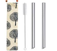 morneve Pailles pour thé à bulles en acier inoxydable extra larges de 12 mm réutilisables en métal pour smoothie, milkshake, format jumbo avec sac de transport, brosse de nettoyage, pointe angulaire
