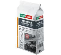 Mortier de réparation Parexlanko gris 5kg