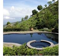 Mosaïque pour piscine Ezarri 2501-B (boîte de 2 m2)