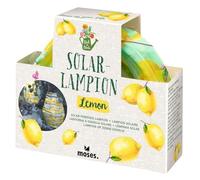 moses. Lampion solaire en forme de feuille et fleur - Design d'ambiance - Avec lumière LED blanc chaud - Rechargeable automatiquement - Résistant aux intempéries (IP44) - Pour jardin, balcon et