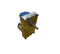 Moteur à engrenages IPC GMF220D801 | 2 RPM 220 V | Couple 18 Nm | Arbre 8,5 mm | Compatible Extraflame, Dal Zotto, Opera, Bestove, Moretti | Remplacement 14702150