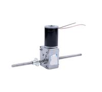 Moteur à réducteur vis sans fin double sortie, 12 V/24 V CC, arbre de M8, vitesse réglable, micromoteur 5840-31ZY, rotation horaire/antihoraire(Turnt-o-,12V 80RPM-ONLY MOT)