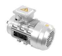 Moteur électrique - 0,75 kW 230/400 V - Moteur asynchrone à courant triphasé - Diamètre de la tige 19 mm - 1400 tr/min - IP55 isolation F - Pour machines et installations