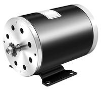 Moteur électrique - MY1020 : Moteur à courant continu à balais - 36 V, 1000 W - Vitesse de rotation élevée - Inversion de sens possible - 3000 tr/min - Courant nominal : 35,6 A