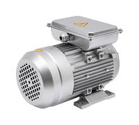 Moteur électrique professionnel 750 W 1380 tr/min 240 V 50 Hz Moteur électrique professionnel en cuivre 1 pha 0,75 kW Diamètre de l'arbre 19 mm pour compresseur Démarrage lourd Moteur électrique