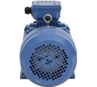 vidaXL Moteur électrique triphasé aluminium 4 kW (5,5 CV) 2 pôles 2840 tr/min