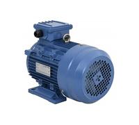 Moteur Electrique Triphasé Moteur à Courant Alternatif Compresseur Palan Treuil Entraînement de Poulie 4kW/5,5 CH 2 148006
