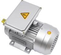 Moteur électrique - YL8024 Moteur monophasé à enroulement de cuivre - 750 W 1 HP - 1380 tr/min - 240 V 50 Hz - 70 dB - Pour bétonnière - Argenté