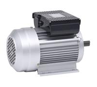 vidaXL Moteur électrique monophasé en aluminium 1,5 kW (2 CV) 2 pôles 2800 tr/min